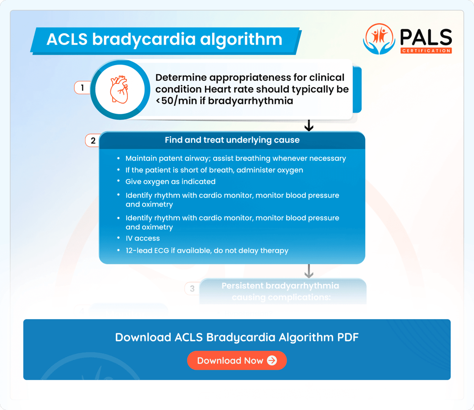 Post-Cardiac Arrest Care: The ACLS Protocol