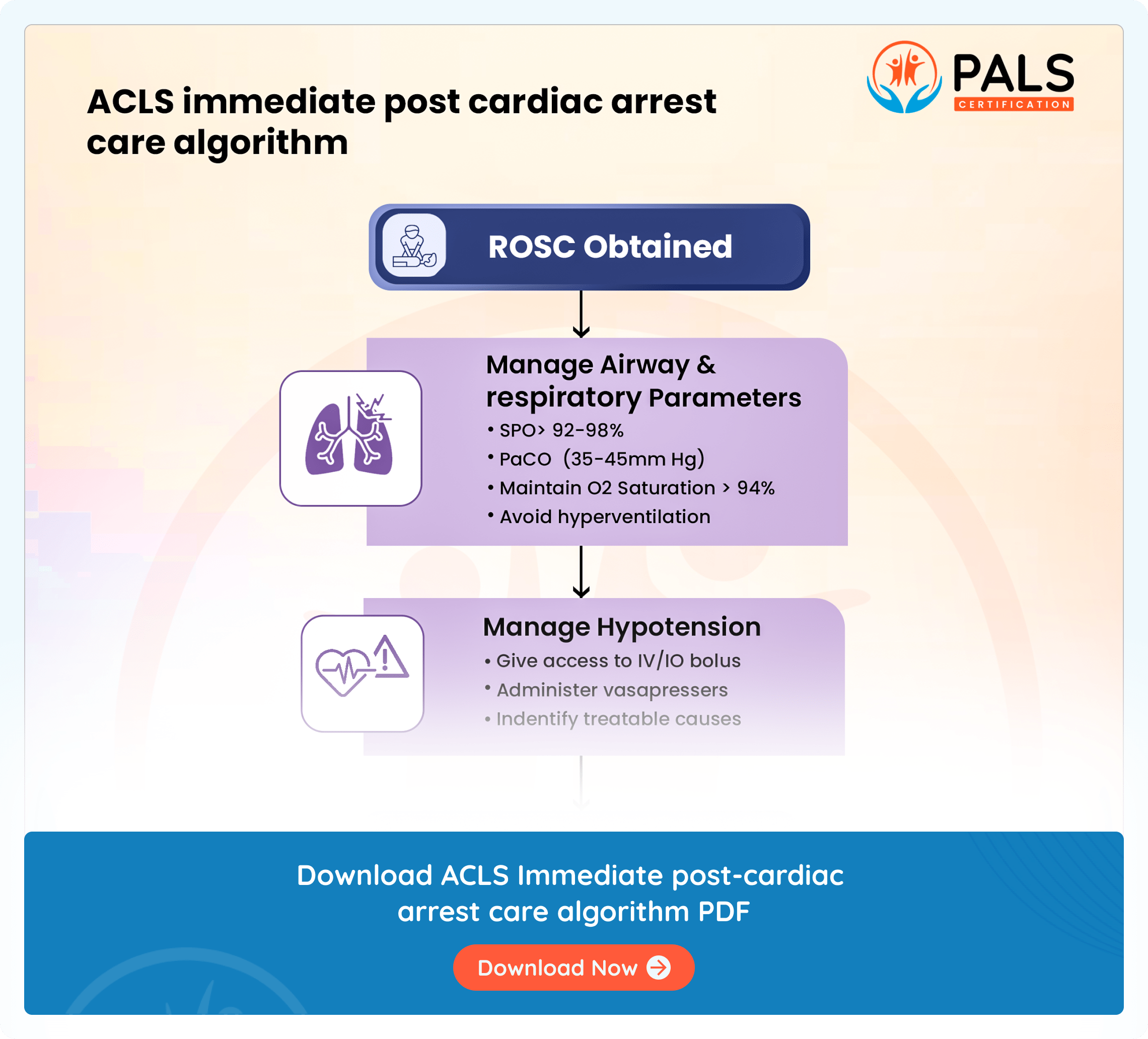 Post-Cardiac Arrest Care: The ACLS Protocol