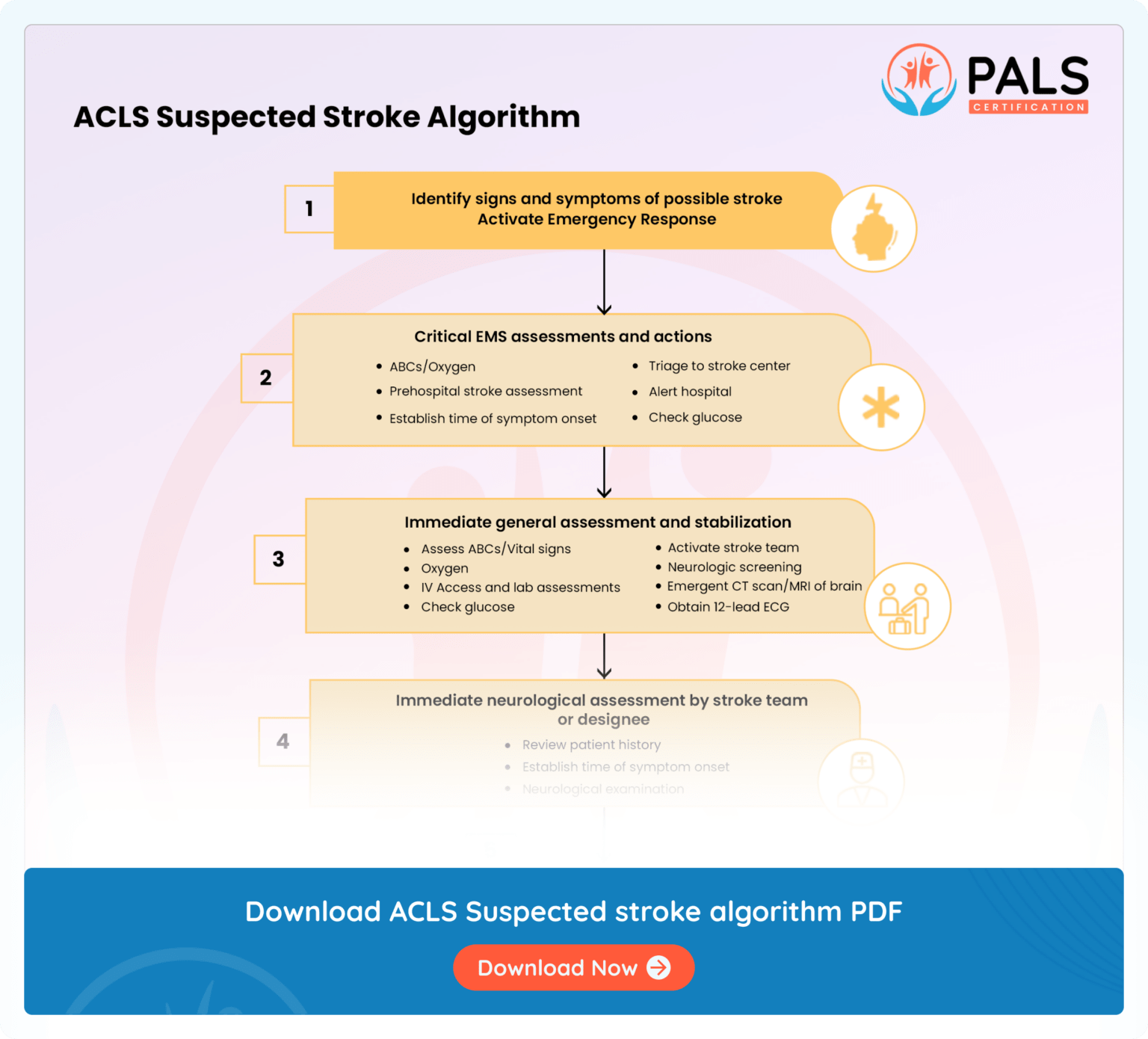 2024 Acls Algorithm Updates In India Mair Sophie